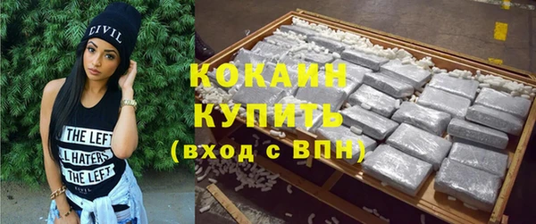 сатива Магас