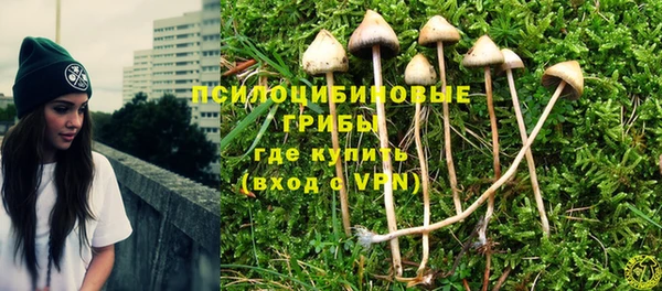 скорость Лиски