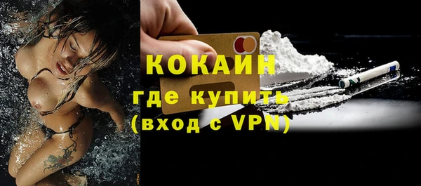 сатива Магас