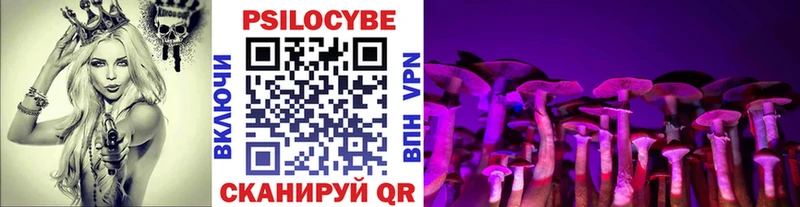 Купить  Саянск  Галлюциногенные грибы мухоморы 